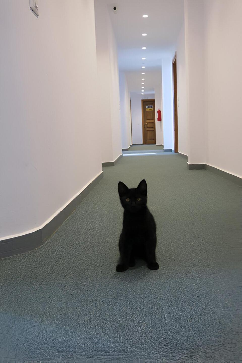 Doko Hotel Radhima Kültér fotó